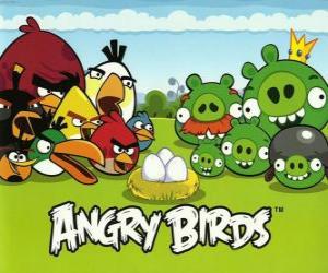 пазл Птицы, яиц и зеленых свиней в Angry Birds